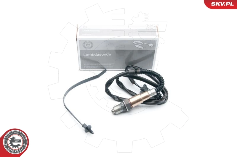 Oxygen Sensor